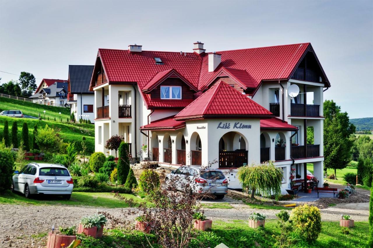Lisc Klonu Apartment Polanczyk Exterior photo